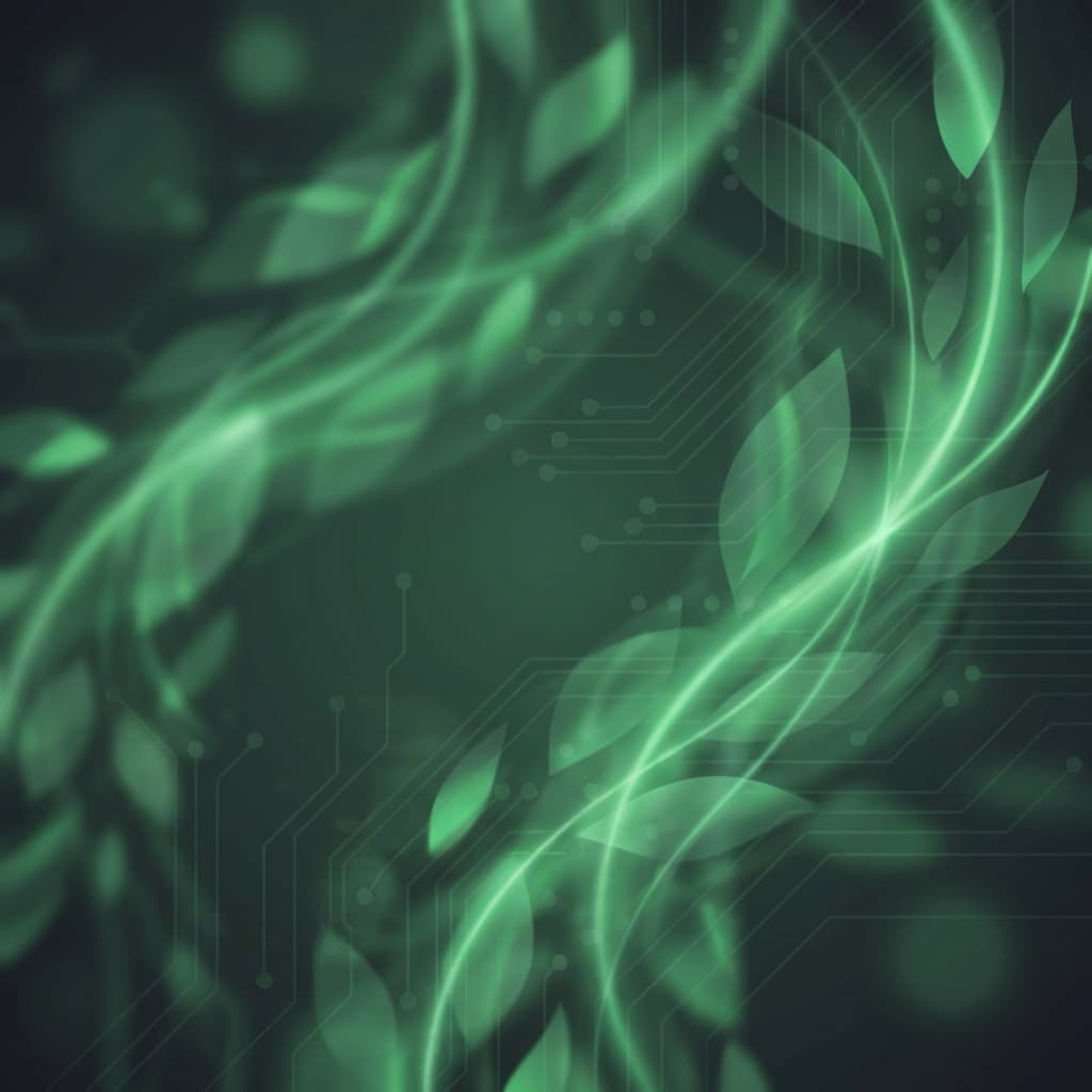 Made For Planet – SaaS Migration